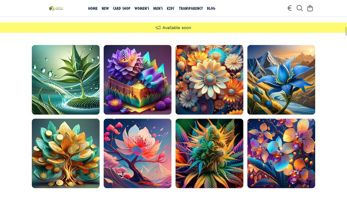 Boutique Paddy's Merch